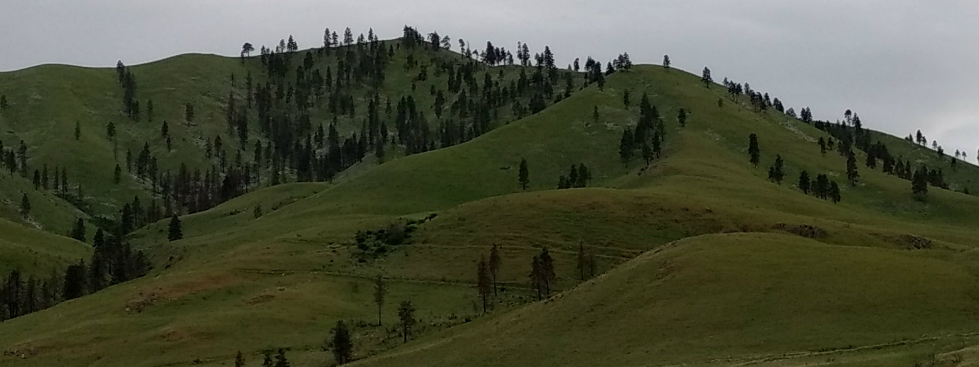 Jeff Field chelan Backflow